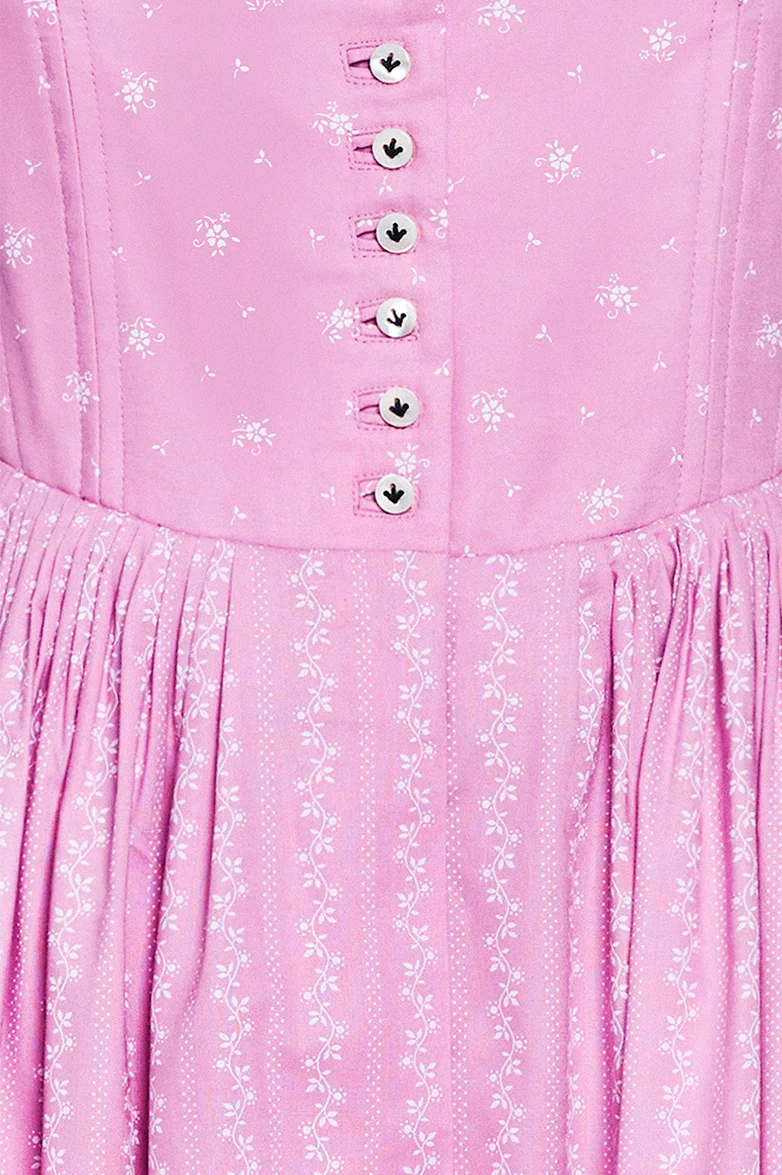 Ranken Dirndl