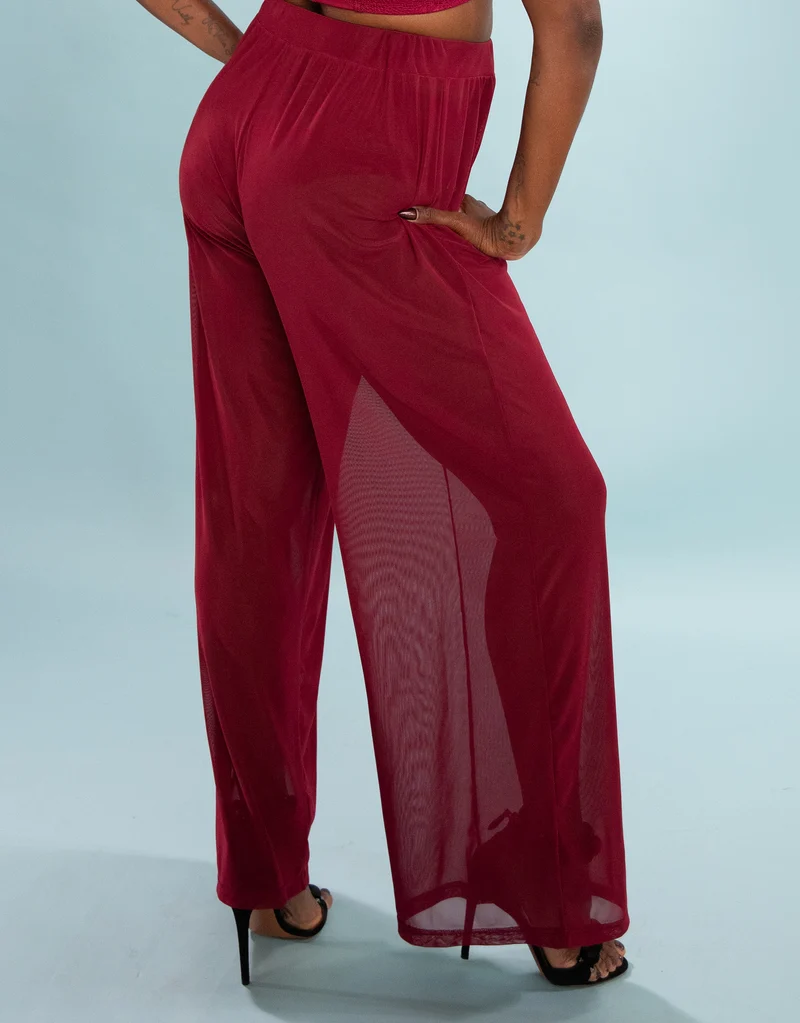 Hose Sheer Transparent Bordeaux