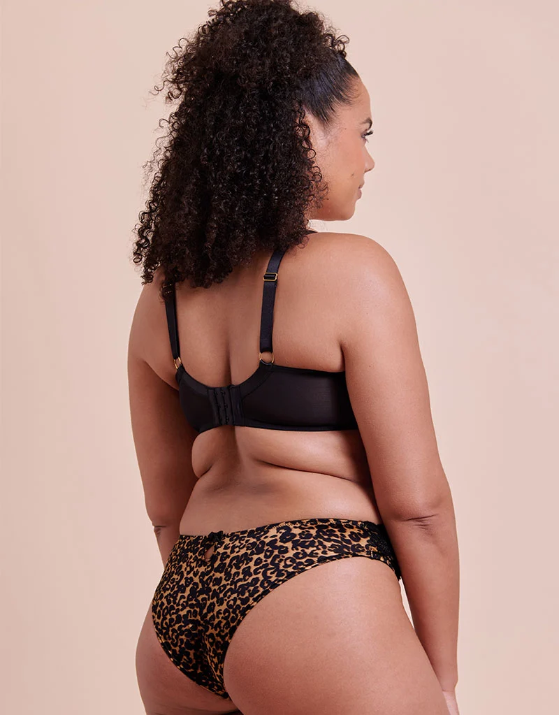 Curvy Kate Boost Lace Tanga Brief Leopard Print