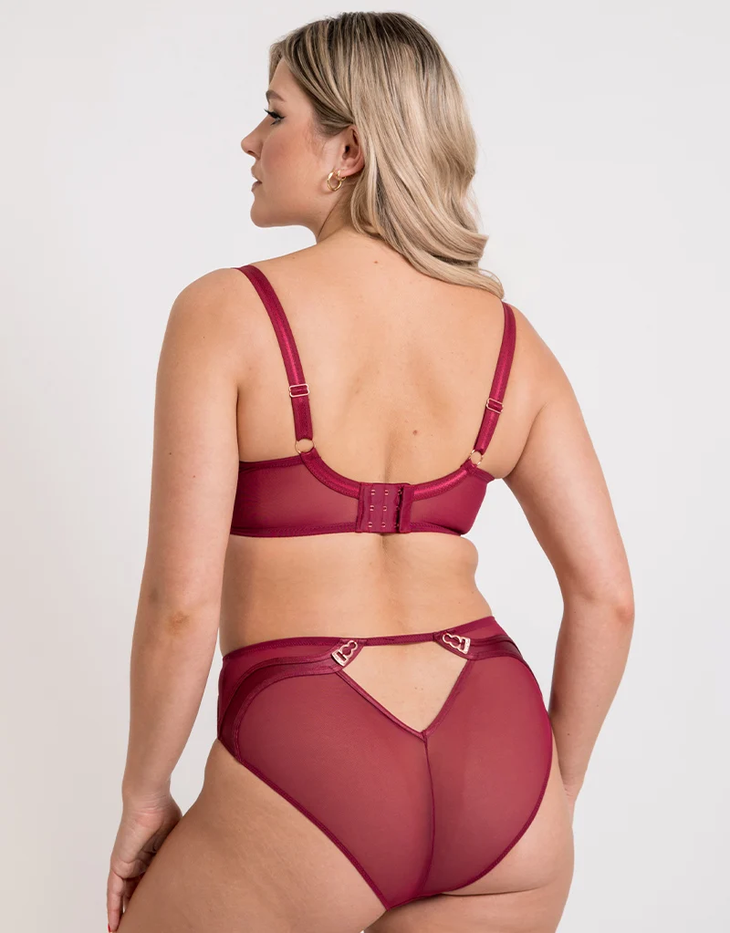 Scantilly Suspense High Waist Brief Sangria