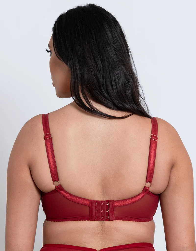 Scantilly Unchained Plunge Bra Deep Red