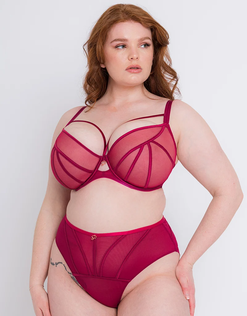 Scantilly Senses High Waist Brief Cherry