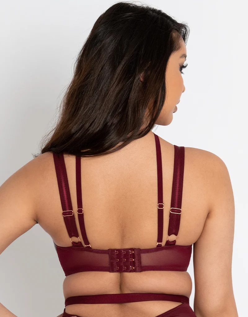 Scantilly Buckle Up Padded Half Cup Bra Oxblood