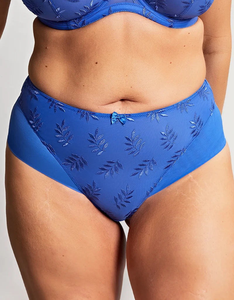 Panache Tango Deep Brief Cobalt