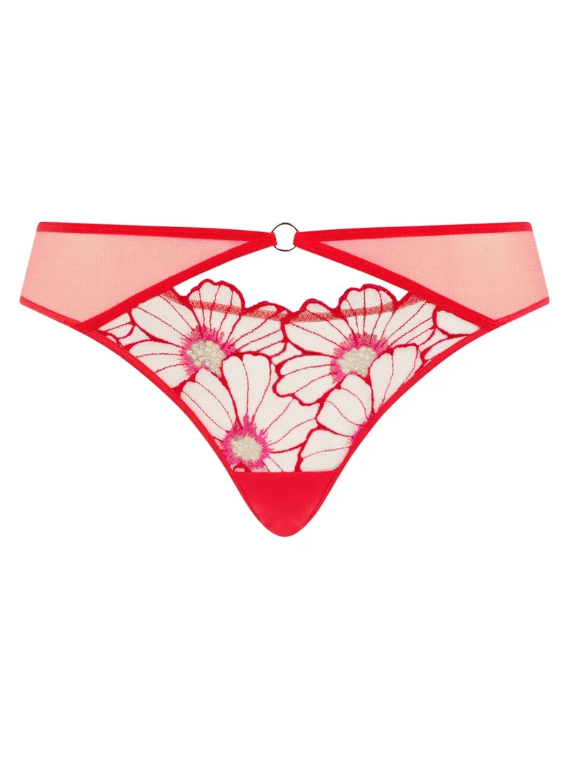 Chantelle – üppige, zarte, extravagante Blume