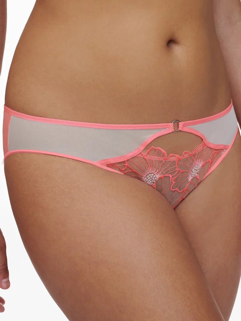Chantelle – Lush Brief Bubblegum